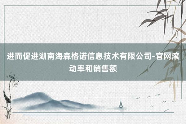 进而促进湖南海森格诺信息技术有限公司-官网滚动率和销售额